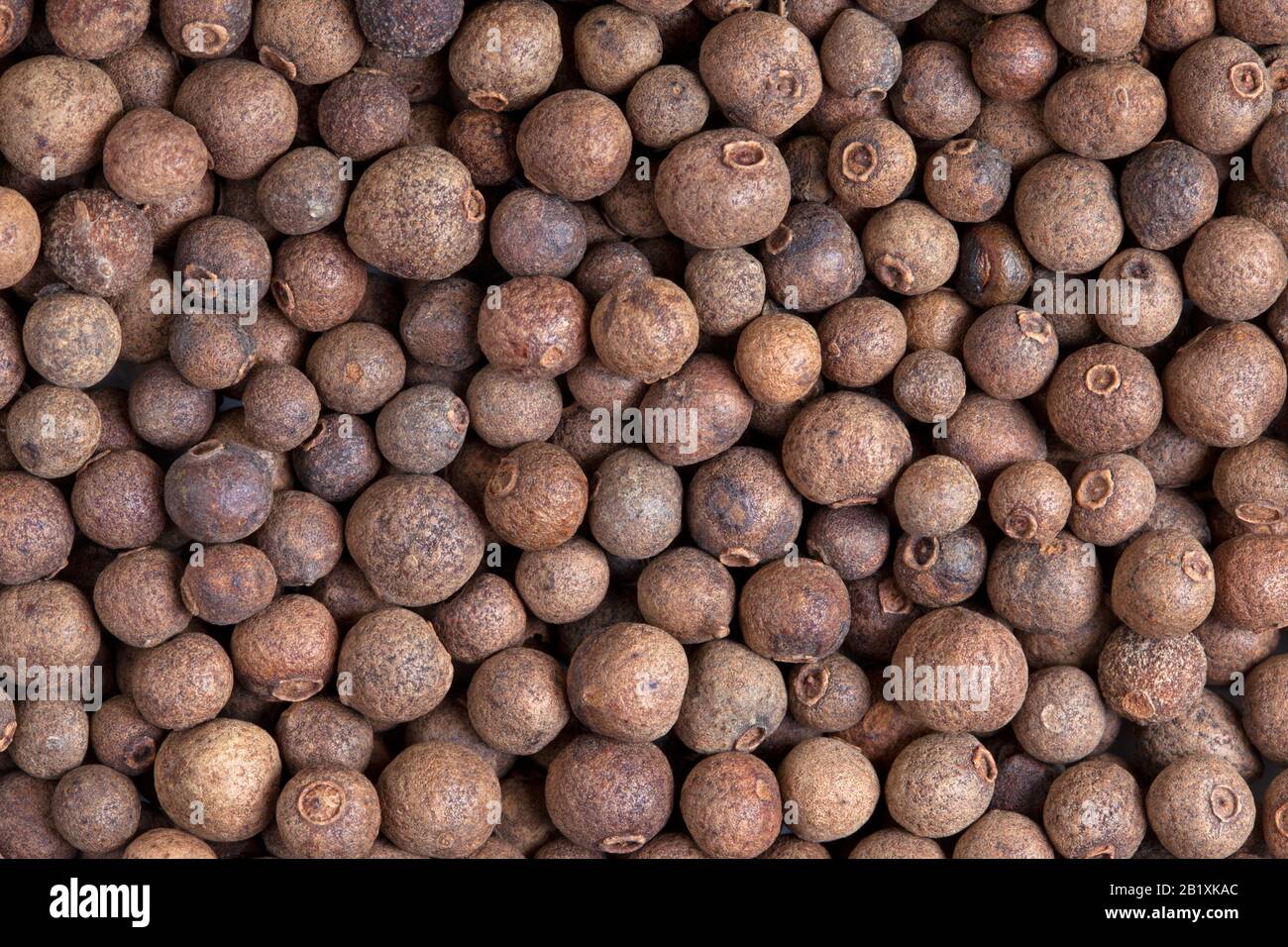 Allspice (jamaica pepper) berries texture, background. Used as a spice