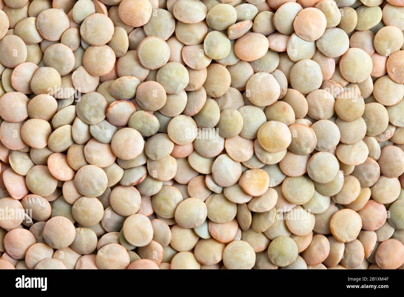 Green Lentils texture background. Lentils are rich in protein