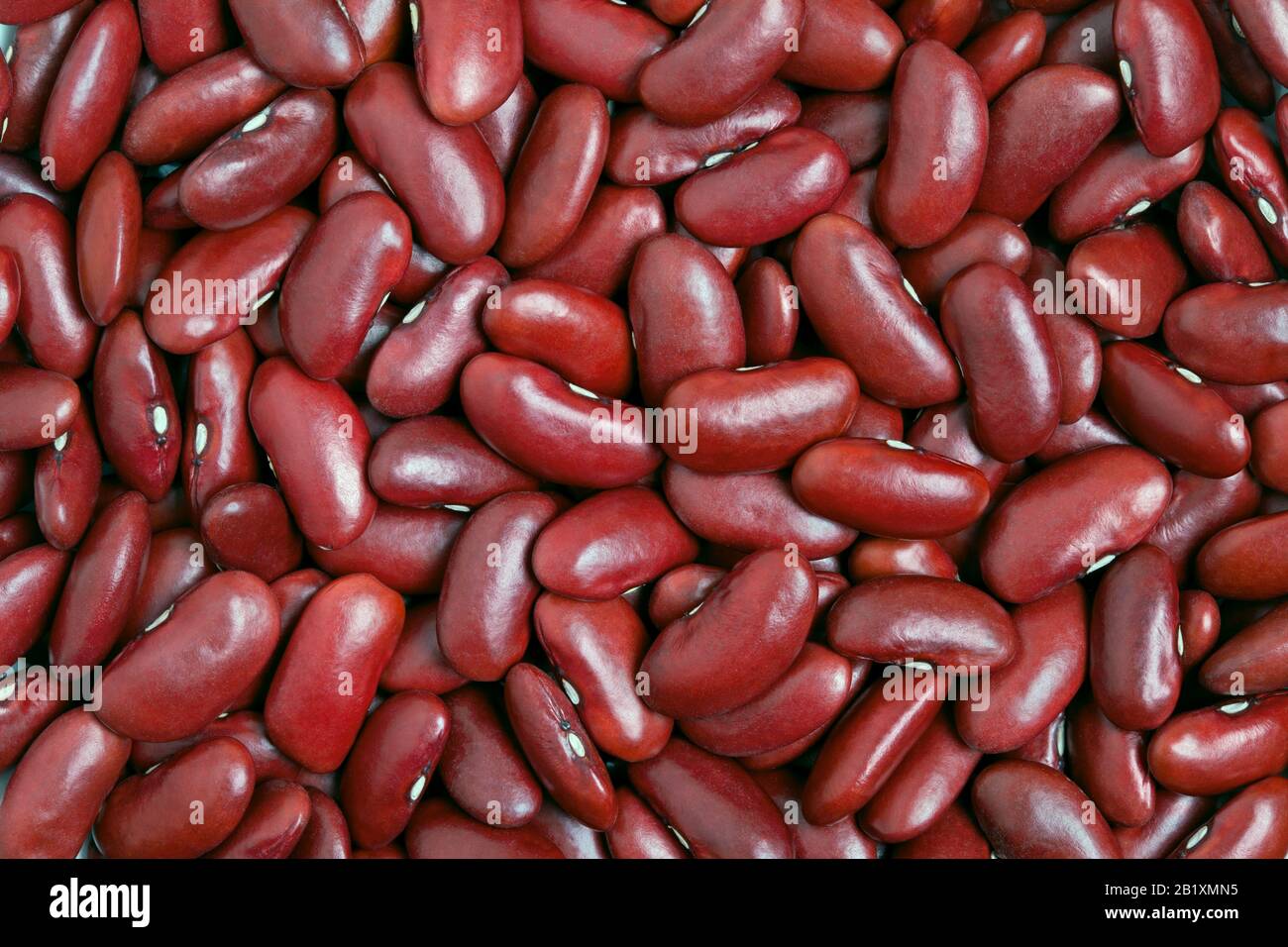 Red Kidney Bean ( Rajma), Red / Dark Red