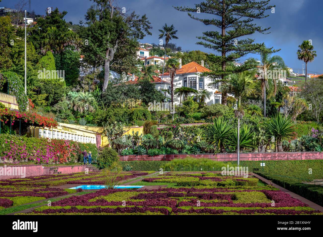 Blumenbeete, Botanischer Garten, Funchal, Madeira, Portugal Stock Photo