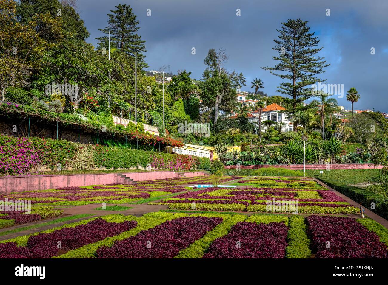 Blumenbeete, Botanischer Garten, Funchal, Madeira, Portugal Stock Photo
