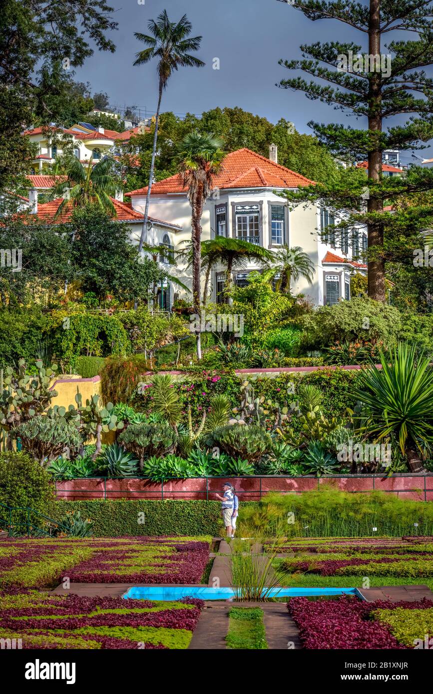 Blumenbeete, Herrenhaus, Botanischer Garten, Funchal, Madeira, Portugal Stock Photo