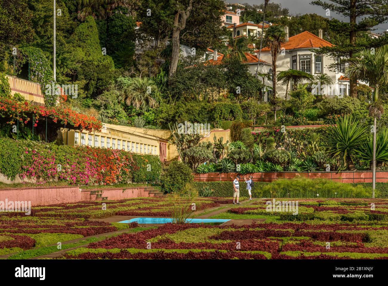 Blumenbeete, Herrenhaus, Botanischer Garten, Funchal, Madeira, Portugal Stock Photo