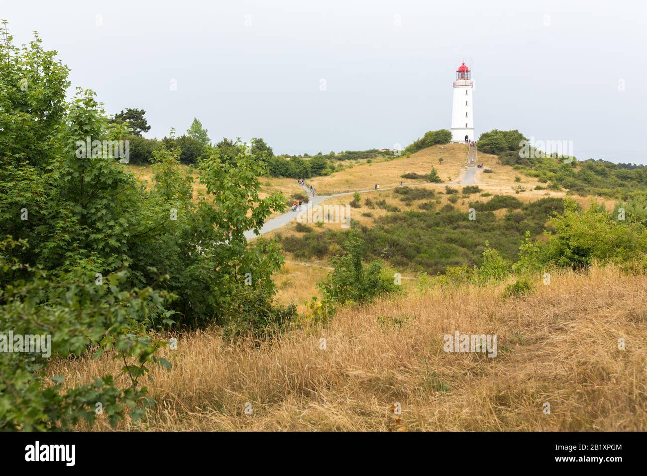 Dornbusch lighthouse on Hiddensee island. Bushes and grassland in the foreground. The lighthouse started ist operation in the year 1888. Stock Photo