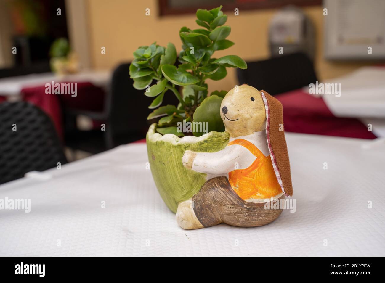 Adorable bunny rabbit centerpiece with a potted succulent plant on a ...