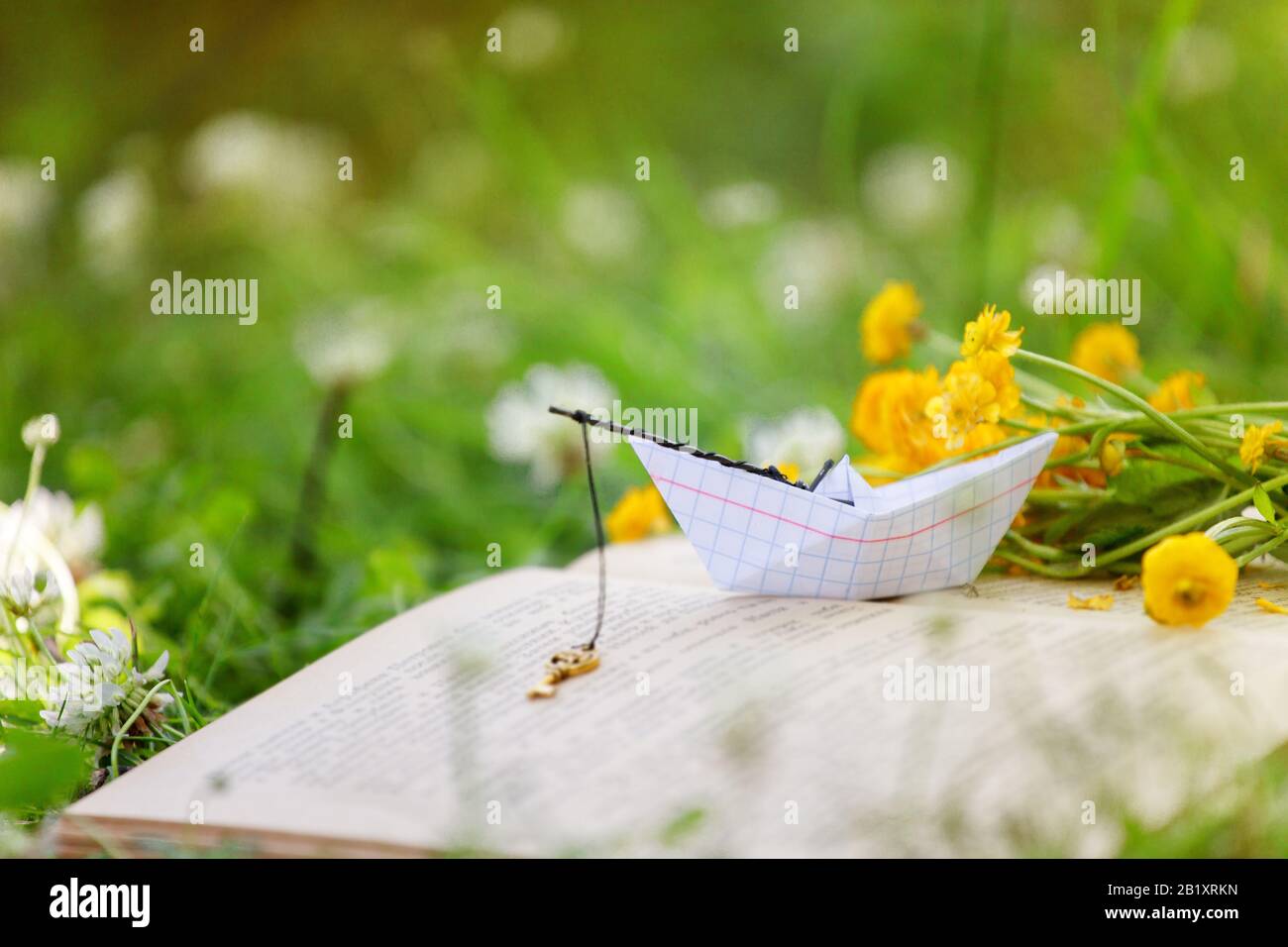 Open book, yellow flowers fanned pages on grass. Summer spring ...