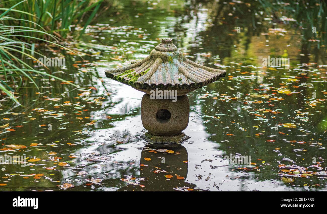 tropical plants in the forest of zoo blijdorp in rotterdam the netherlands  Stock Photo - Alamy