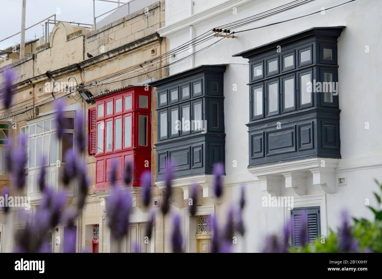 Kalkara, Malta; April 13, 2019: Street of Kalkara, Malta with traditional colorful bay balconies and lavender flowers Stock Photo