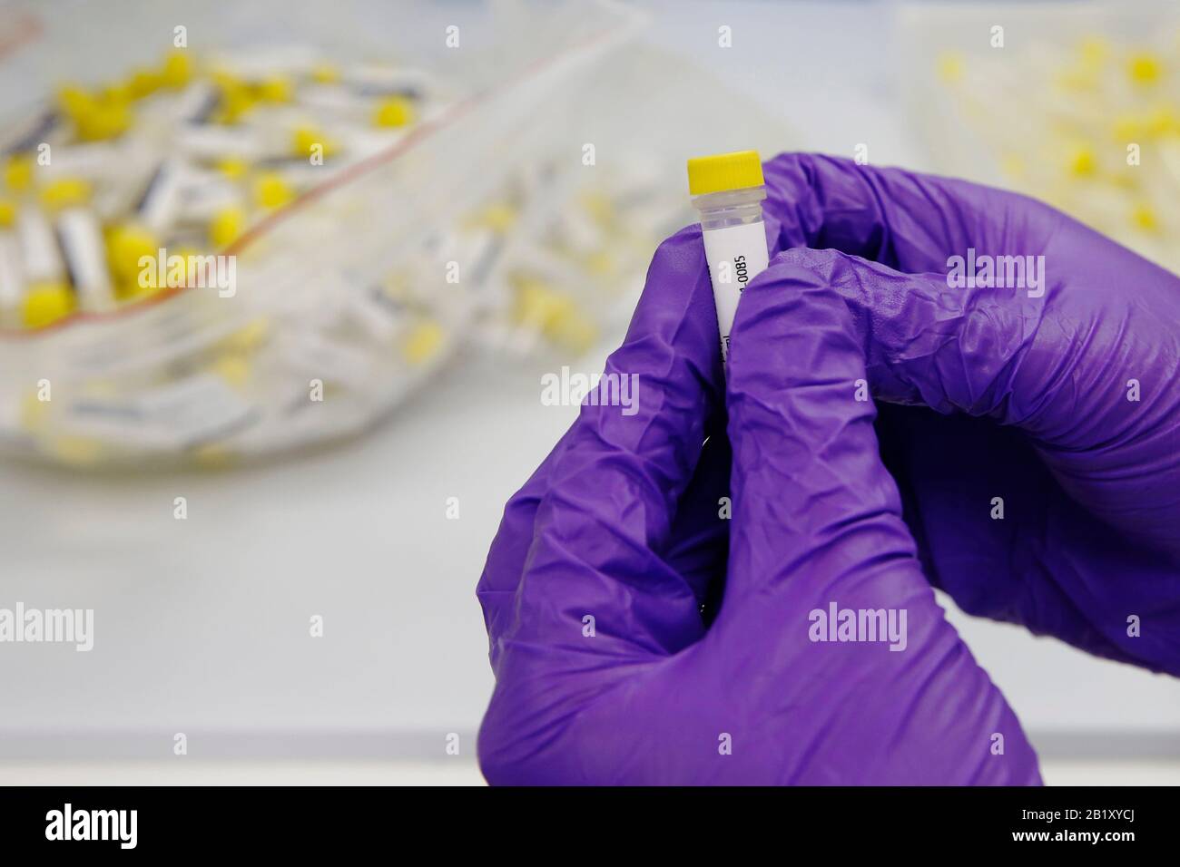 Component ingredients of the Primerdesign Coronavirus COVID19 detection kit are labelled at the