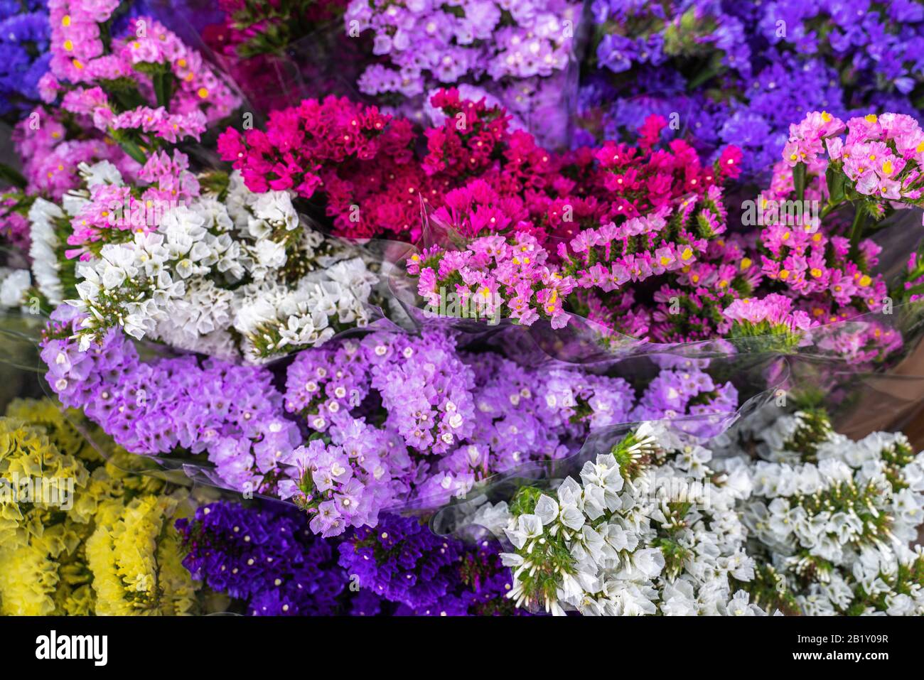 bouquet of small flowers of many colors at the flower market. Italy Stock Photo