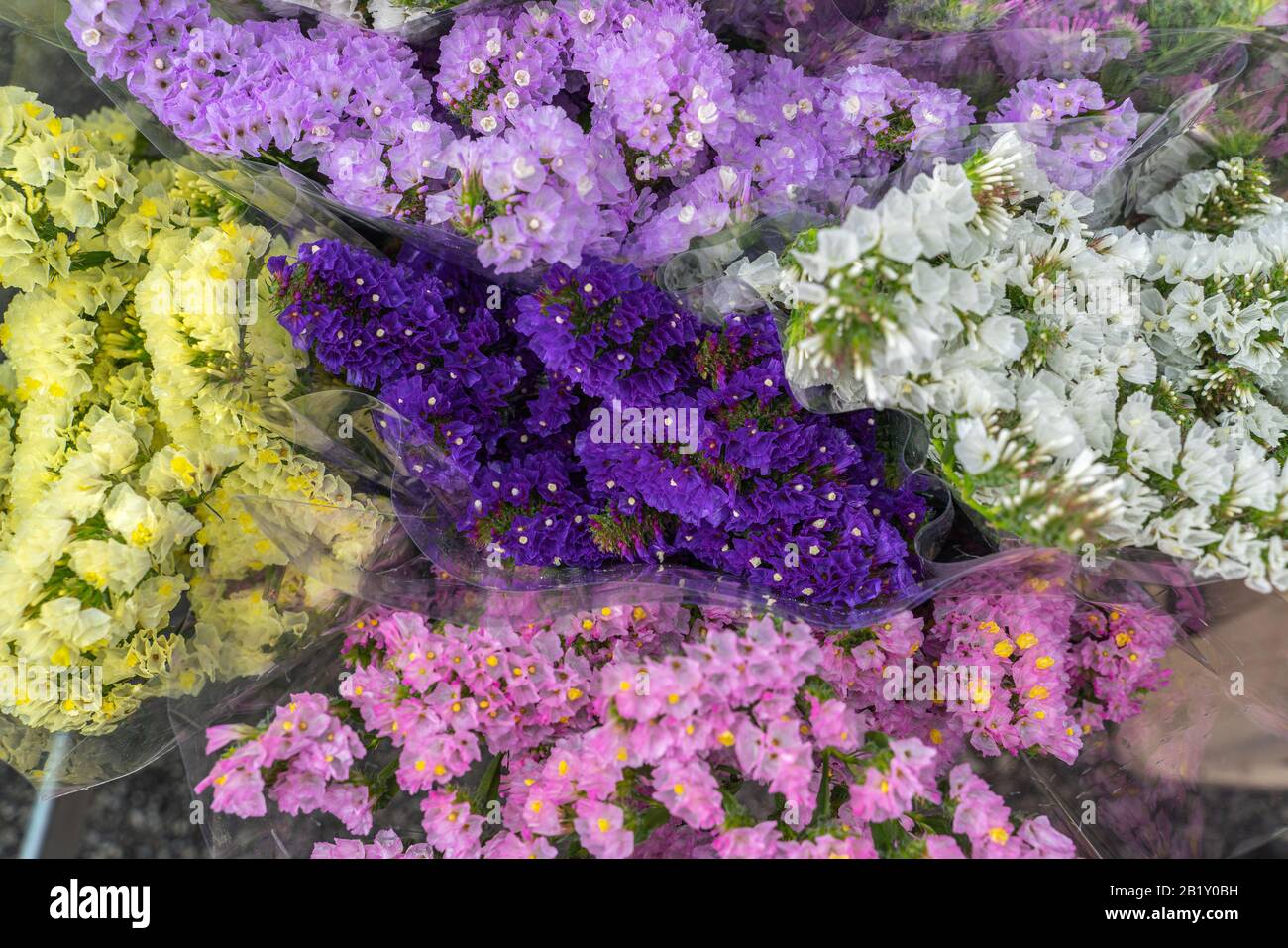 bouquet of small flowers of many colors at the flower market. Italy Stock Photo