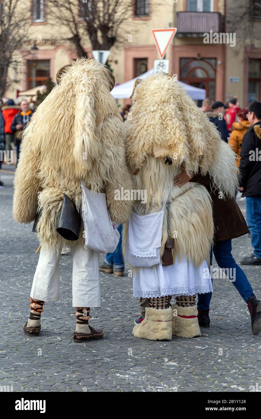 Busojaras High Resolution Stock Photography And Images Alamy