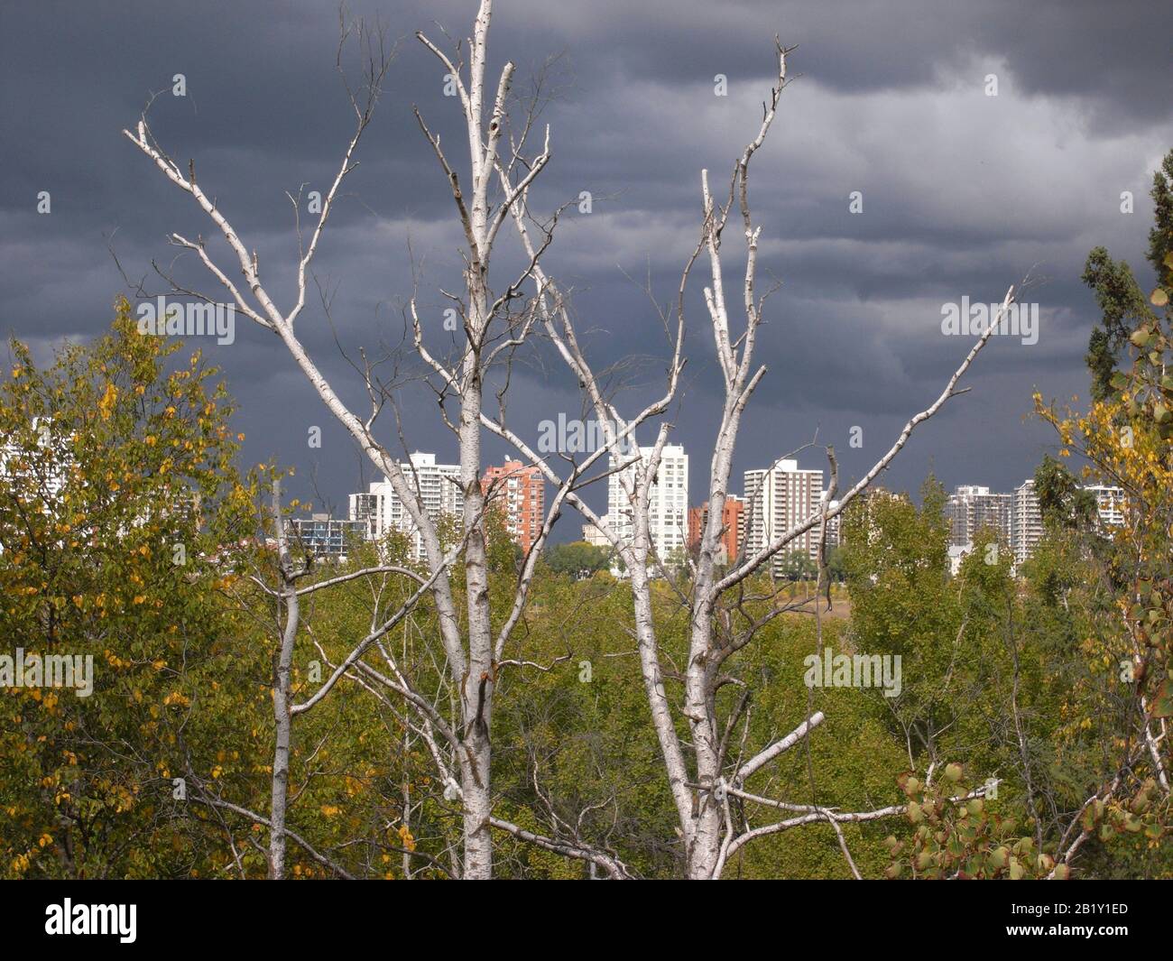 Cityscape of Edmonton in Alberta Canada Stock Photo