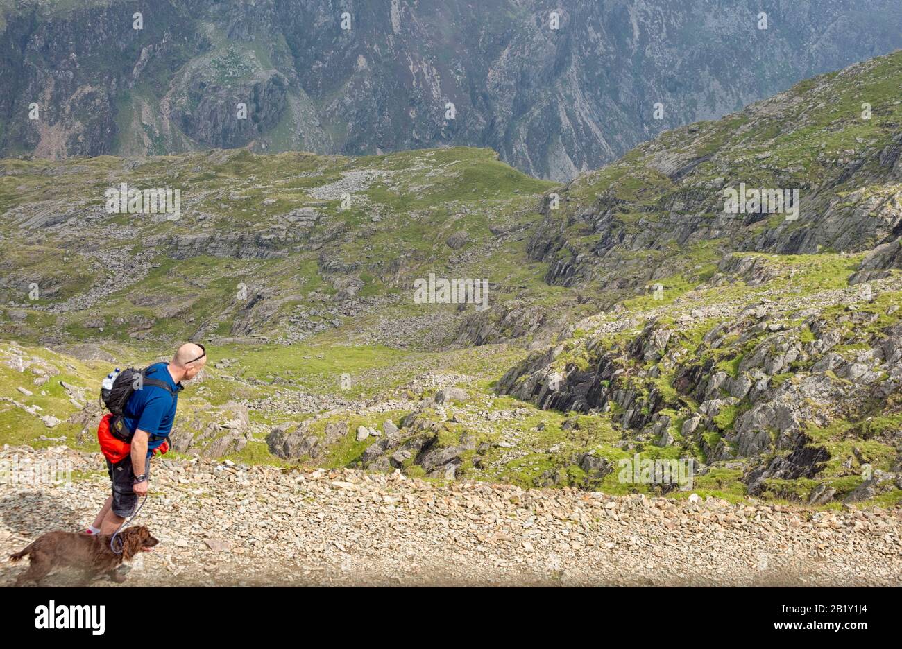 View from the train window  looking at hiker with dog walking up the path to the Snowdon summit in Wales Stock Photo