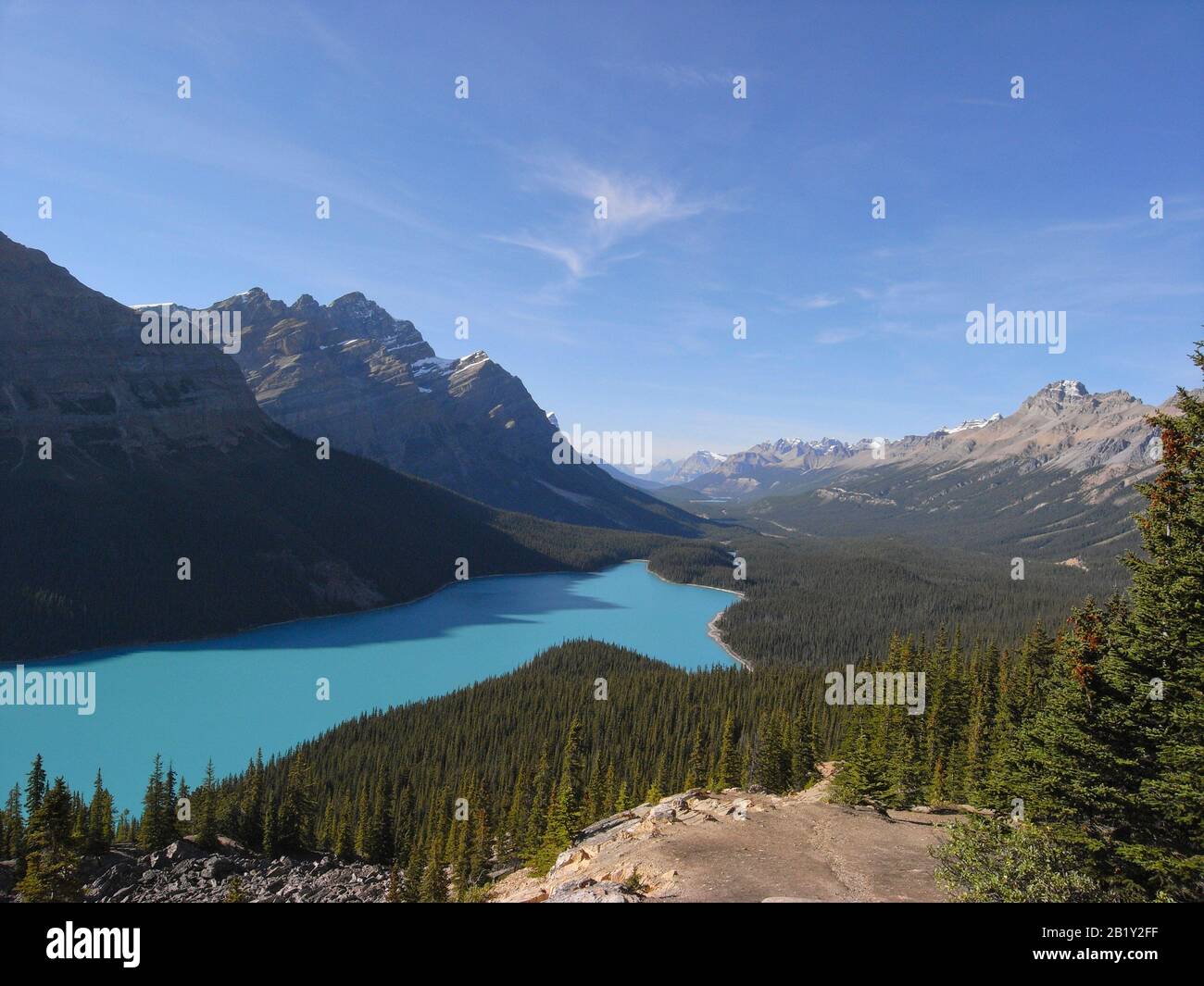 Banff National Park in Alberta Canada - Peyto Lake Stock Photo - Alamy