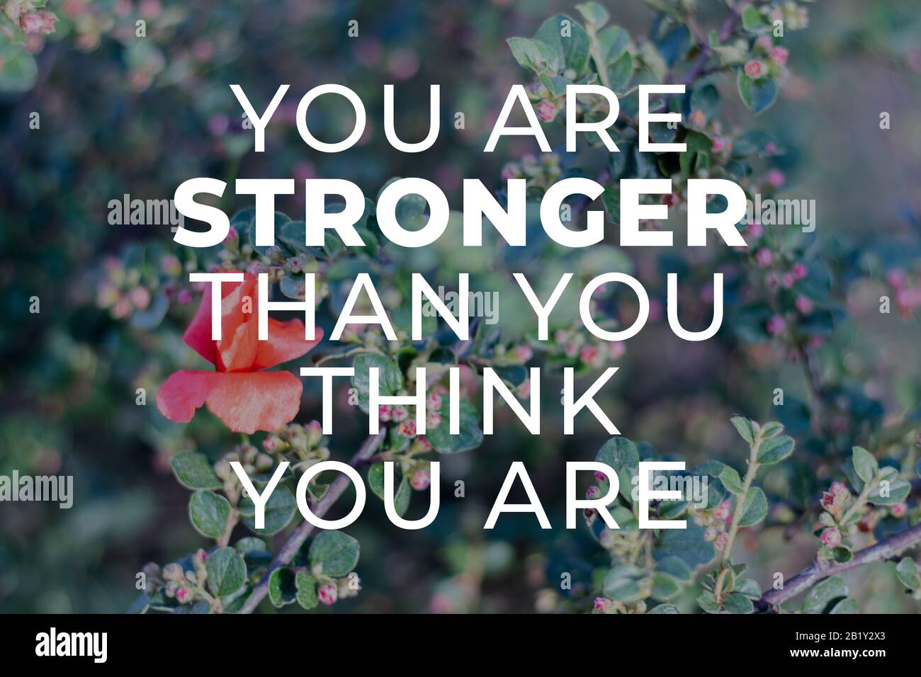 You are stronger than you think you are Stock Photo Alamy