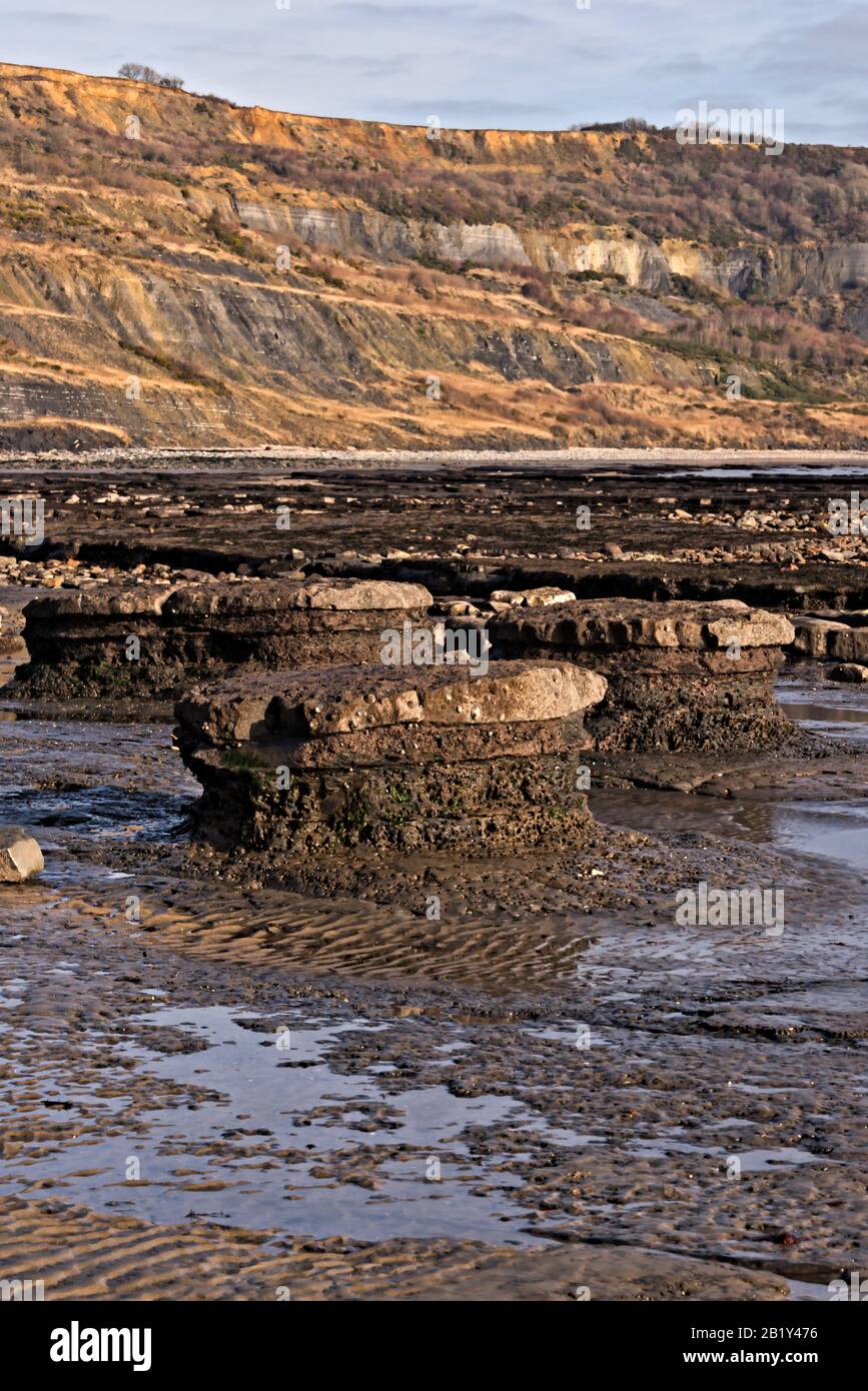 The view north eastwards from Broad Ledge at low tide at Lyme Regis, Dorset, England, UK, along the Jurassic coast. Stock Photo