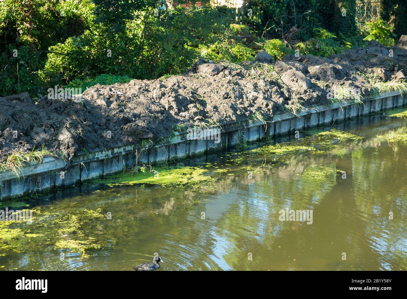 The Longford River with its artificial riverbank built up with newly