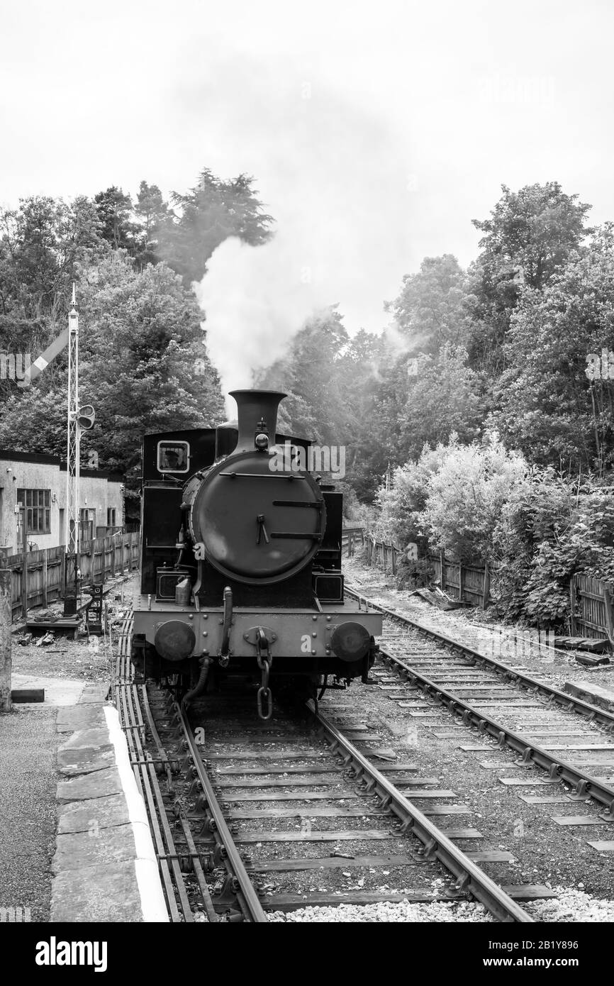 Stream arrival at Haverthwaite railway station, Lake District, UK Stock Photo