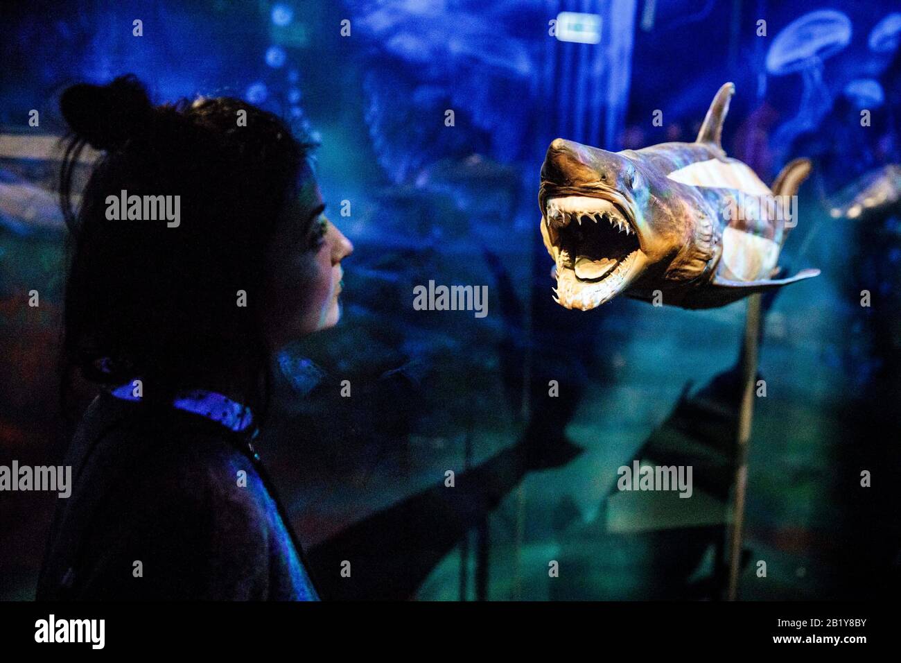 Berlin, Germany. 28th Feb, 2020. A woman looks at an exhibited shark exhibit of the special exhibition of body worlds from the Museum of Man in SEA LIFE. Visitors are shown insights into the anatomy of sea creatures by means of underwater world exhibits. Credit: Carsten Koall/dpa/Alamy Live News Stock Photo
