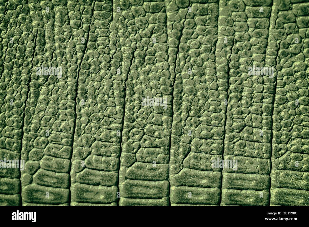 Texture of genuine leather close-up, embossed under the skin crocodile, green color print, trendy background. Stock Photo