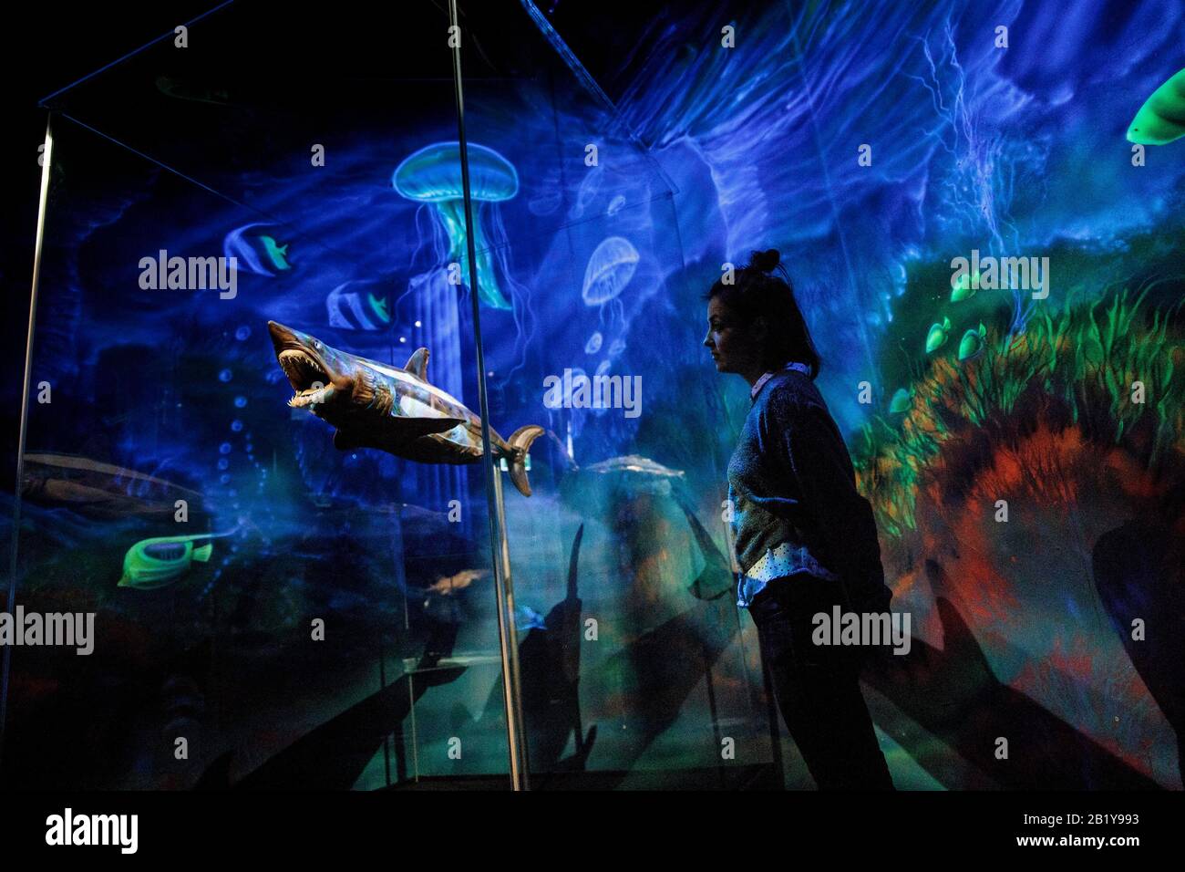 Berlin, Germany. 28th Feb, 2020. A woman looks at an exhibited shark exhibit of the special exhibition of body worlds from the Museum of Man in SEA LIFE. Visitors are shown insights into the anatomy of sea creatures by means of underwater world exhibits. Credit: Carsten Koall/dpa/Alamy Live News Stock Photo