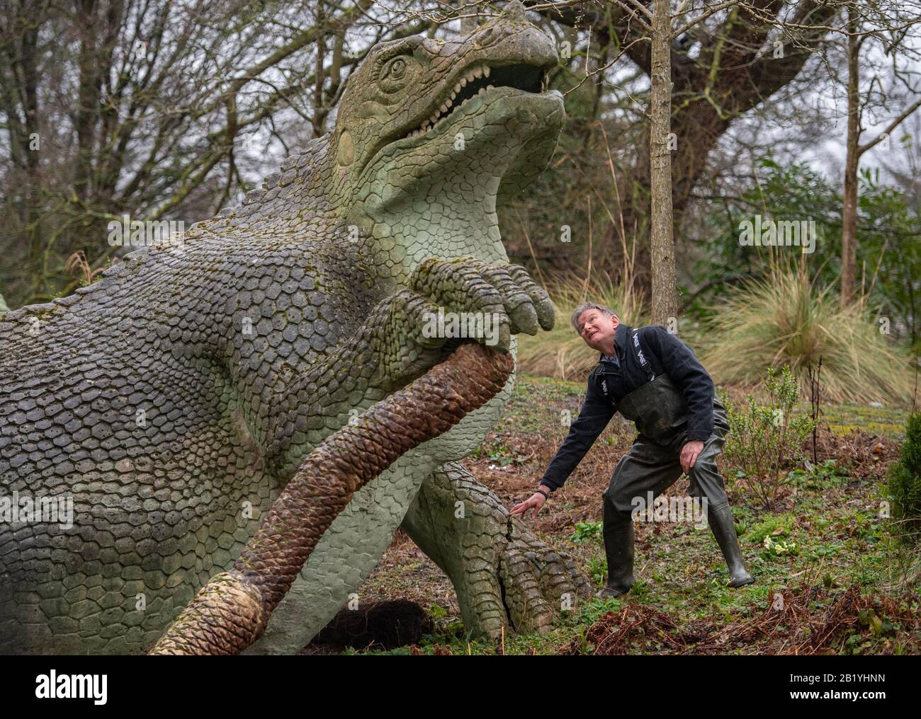 Simon Buteux from Historic England with an Iguanadon sculpture, part of the Crystal Palace Dinosuars, in Crystal Palace Park, London. The 30 Grade I-listed statues, constructed in the 1850s, have been added to Historic England's Heritage at Risk Register after experts found large cracks on the bodies and limbs and in danger of losing toes, teeth and tails. Stock Photo