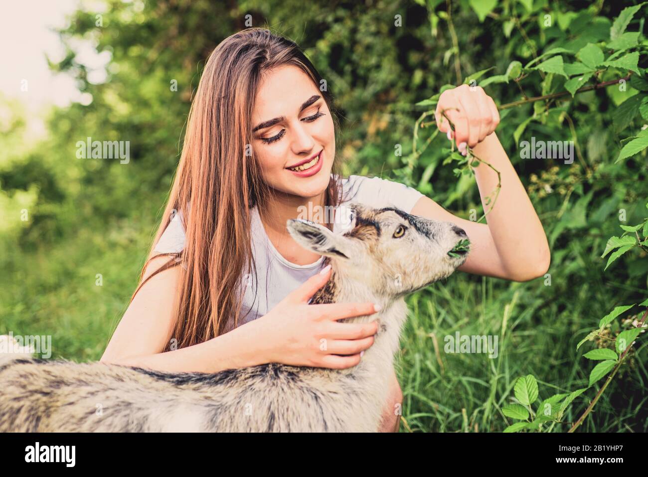 Woman and small goat green grass. Eco farm. Love and care. Animals law