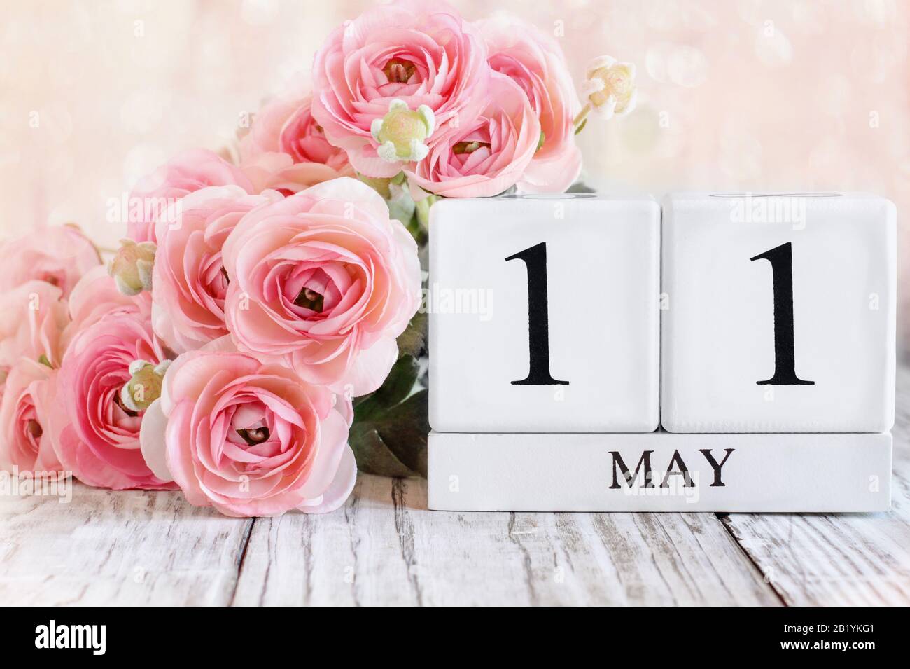 White wood calendar blocks with the date May 11th and pink ranunculus  flowers over a wooden table for National Women's Checkup Day. Selective  focus wi Stock Photo - Alamy