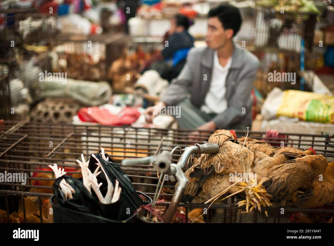 Street Market, with live animals, Guilin China Stock Photo