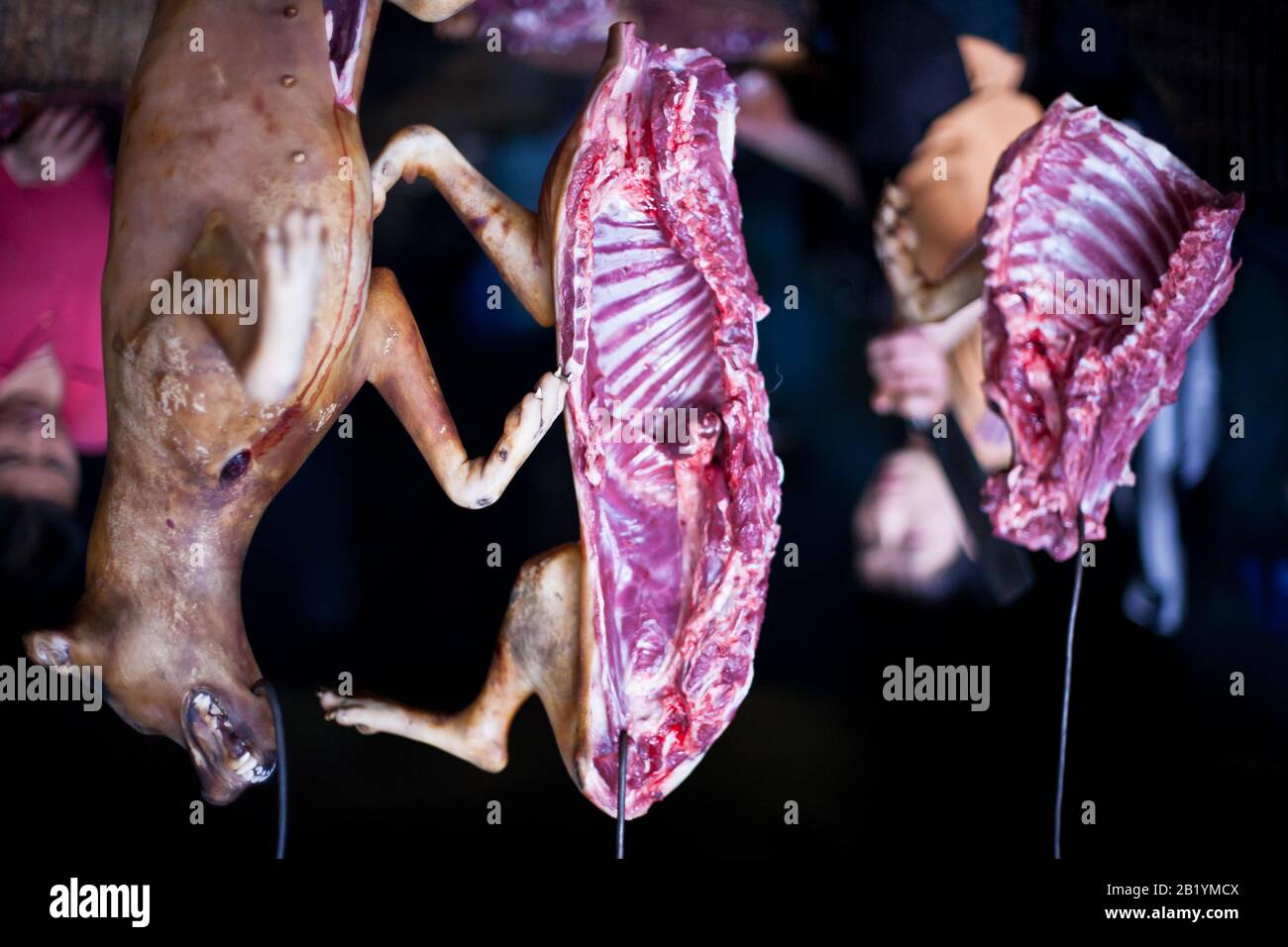 Dog meat hanging  in food market in open air Stock Photo