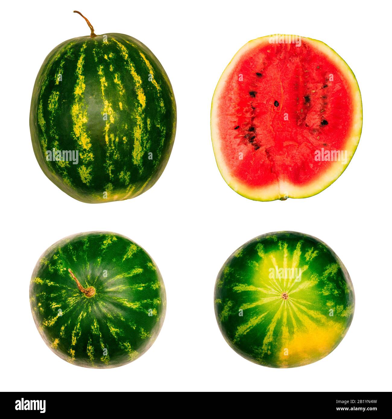 Different parts of watermelon isolated on a white background. Top, bottom and side of a ripe