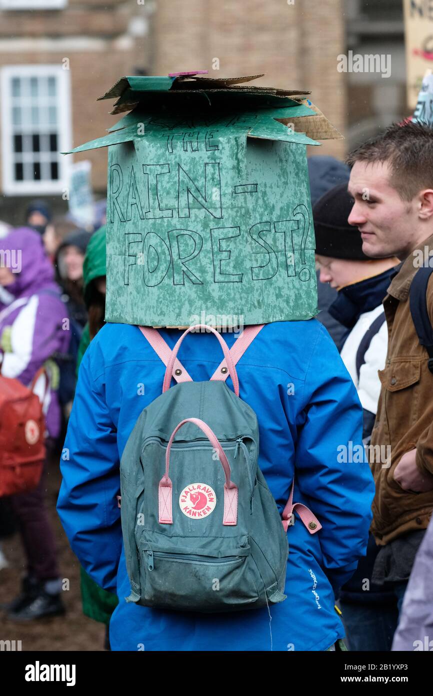 Bristol, UK - Friday 28th February 2020 - Protester wearing a Save the Rain Forest mask on College Green in the rain to support the Bristol Youth Strike 4 Climate. Credit: Steven May/Alamy Live News Stock Photo