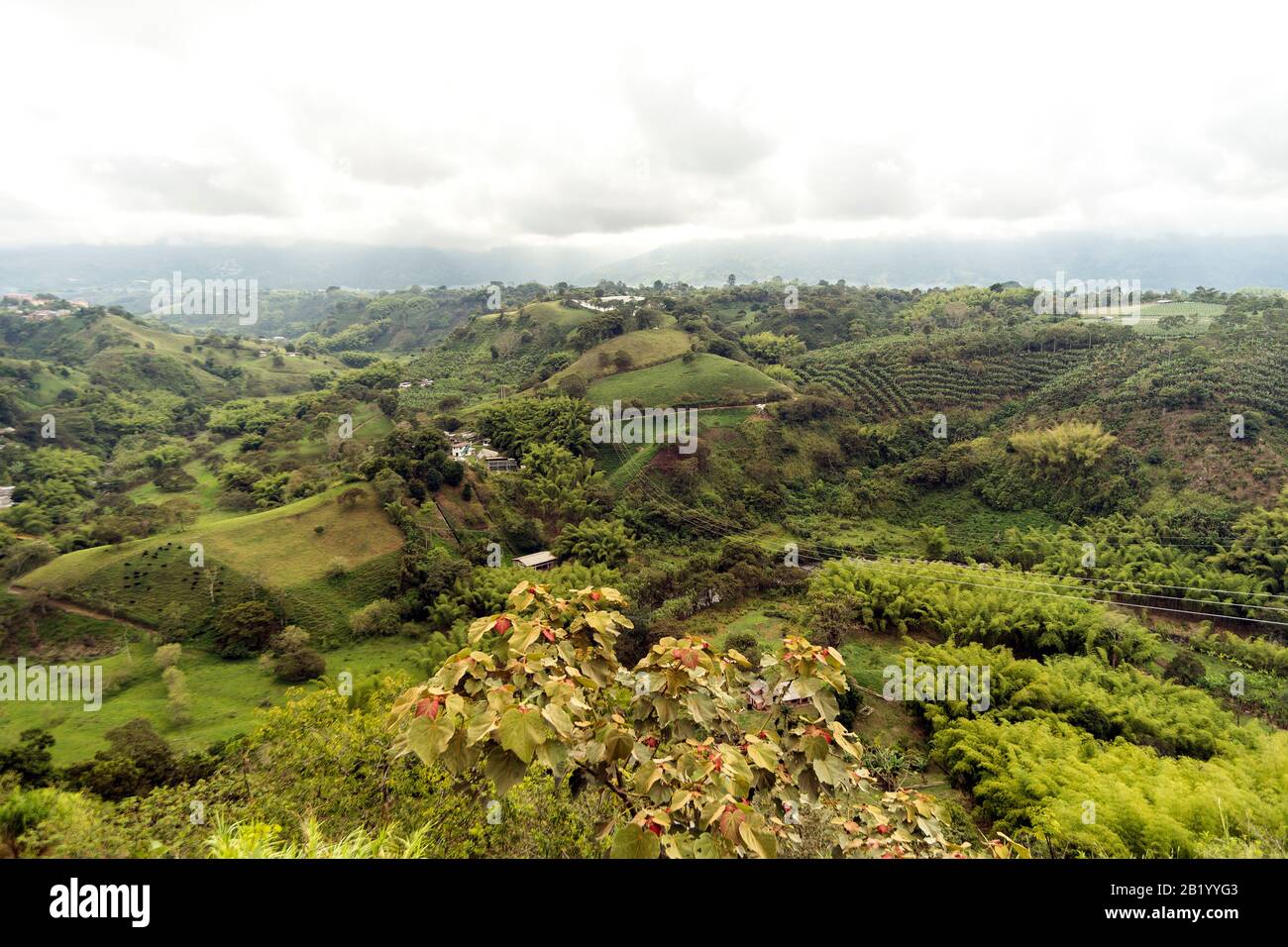 Armenia colombia hi-res stock photography and images - Alamy