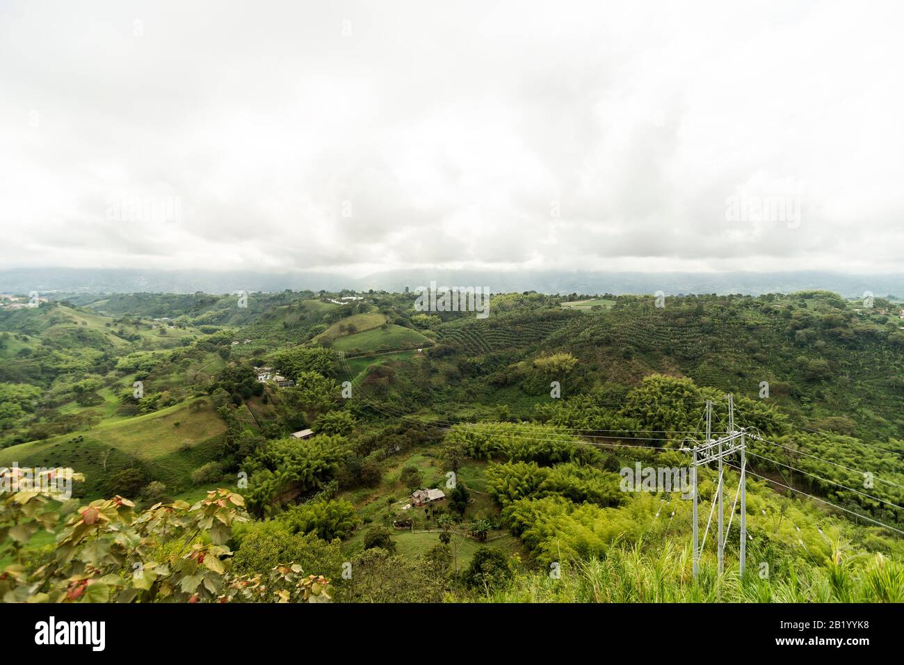 3.535 fotos de stock e banco de imagens de Armenia Colombia - Getty Images