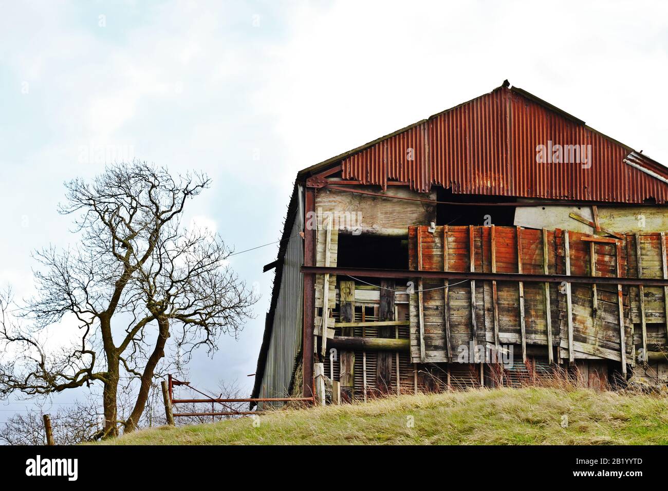 Rust covered old barn and skeletal tree in Lancashire, England Stock Photo