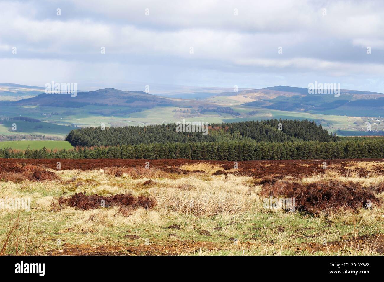 Rolling hills and woodland in North Yorkshire, England Stock Photo