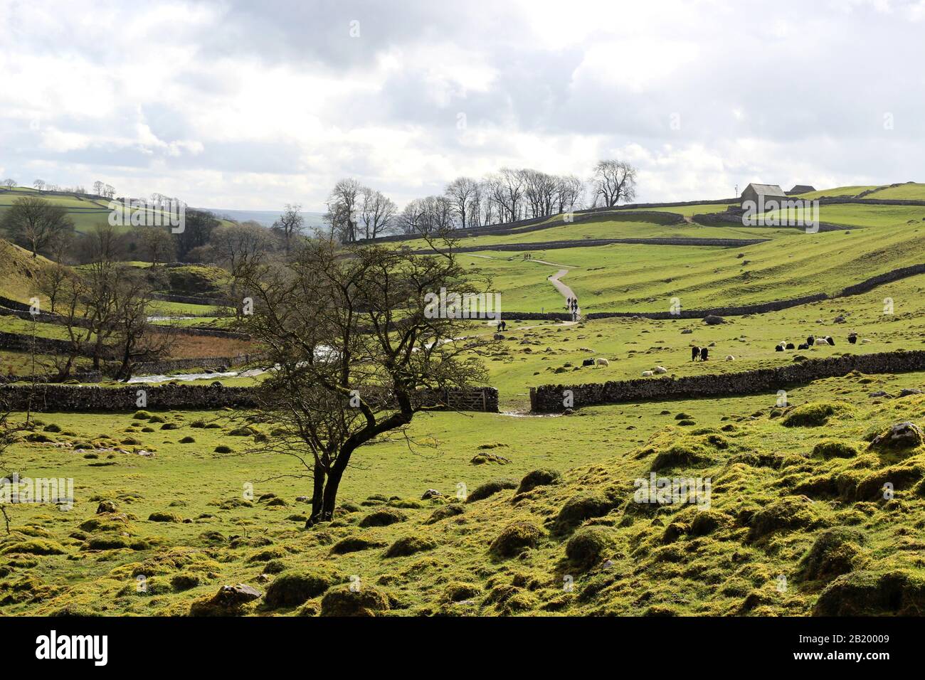 The rolling hills of  Malham, in the Yorkshire Dales Stock Photo