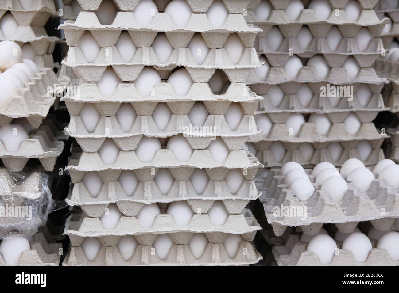 Chicken white eggs in cardboard boxes stacked in rows in store. Eggs in