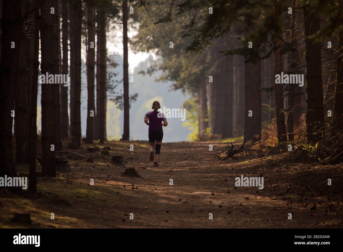 A young woman or girl jogging or running along a sunlit forest path Stock Photo