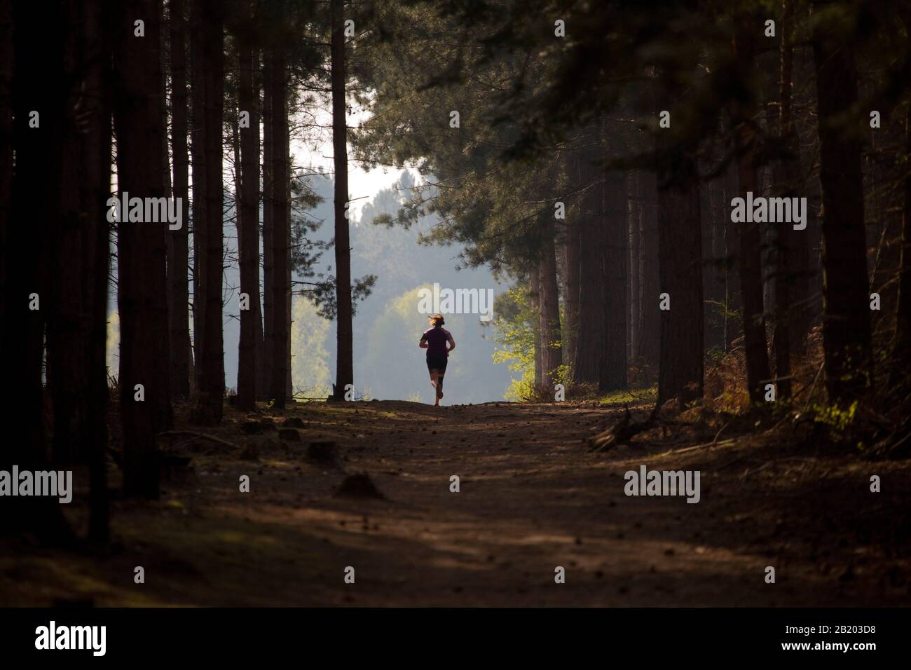 A young girl running along a sunlit forest track in the summer Stock Photo