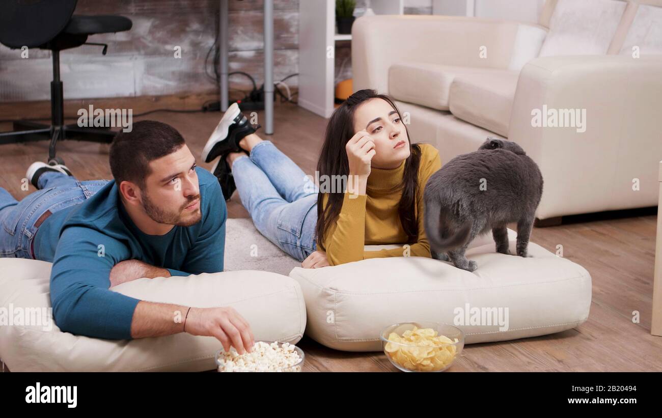 Young couple spending time with their cat while watching tv. Couple sitting on the floor and eating chips and popcorn. Stock Photo