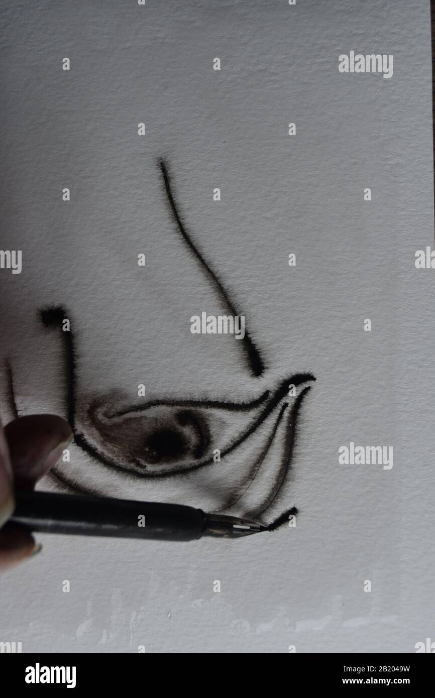 Sequence of drawing with dip pen in India ink onto wet watercolour