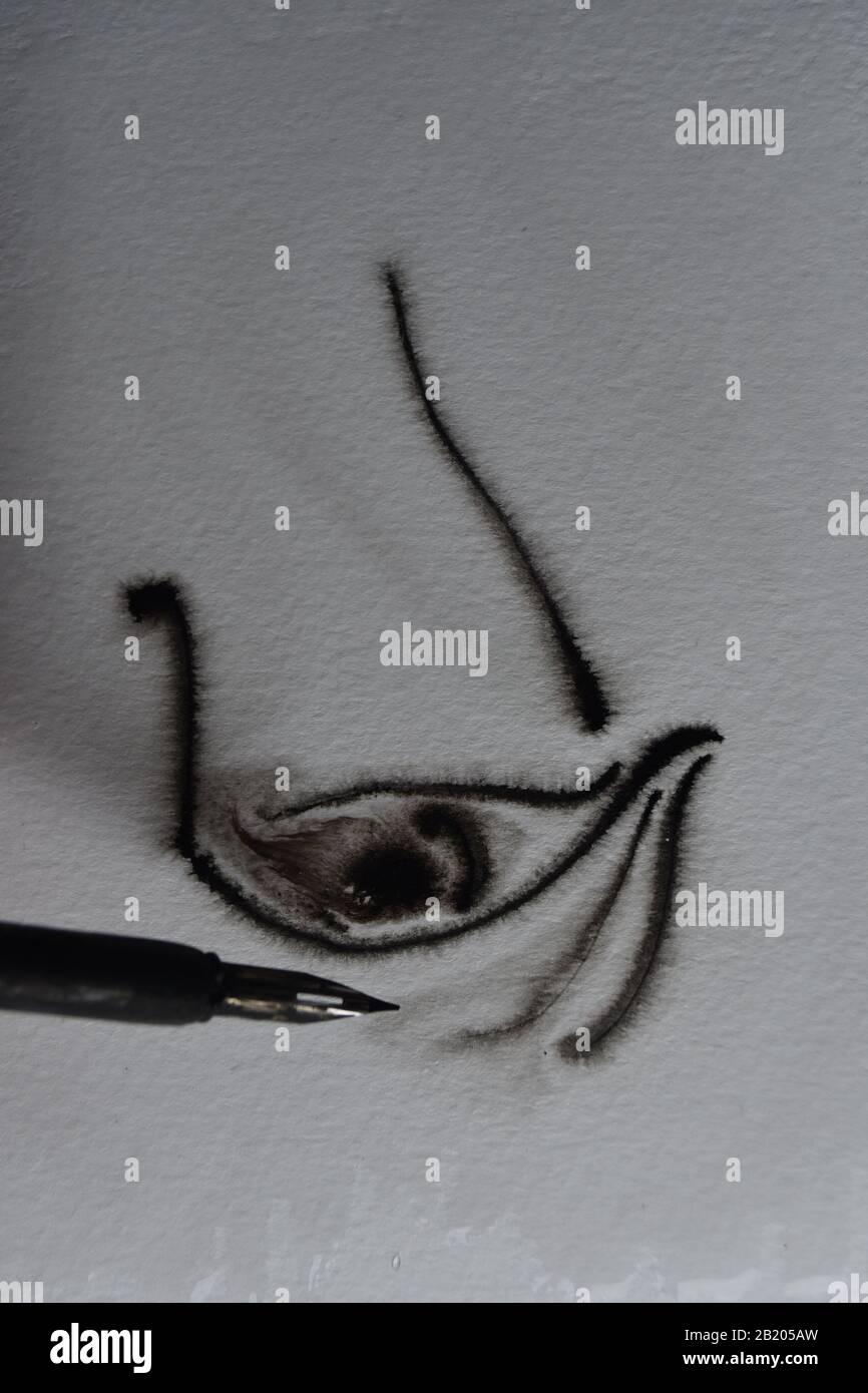 Sequence of drawing with dip pen in India ink onto wet watercolour