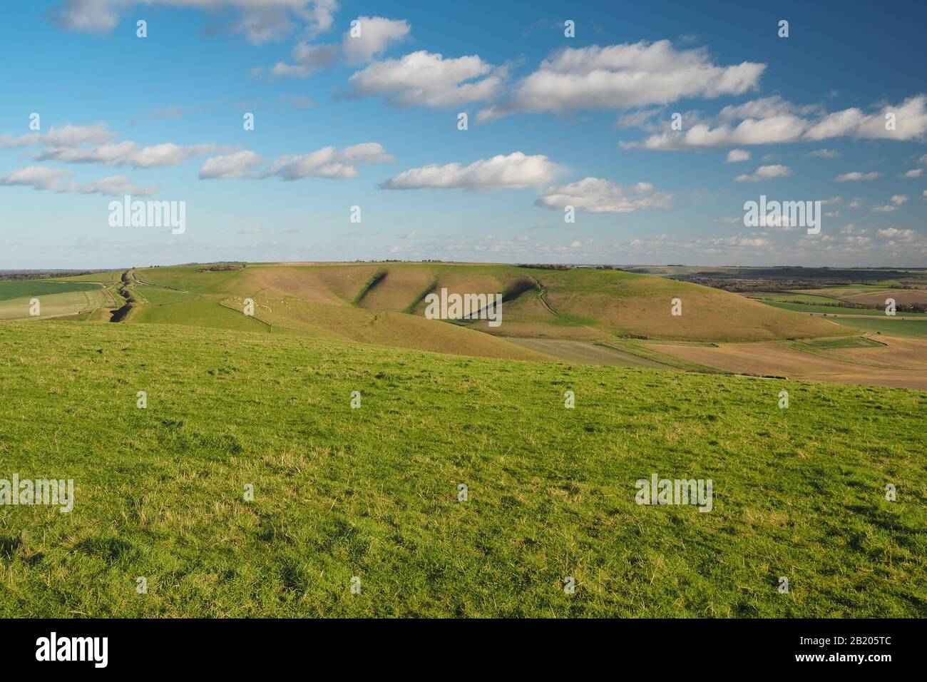 View to Milk Hill, highest point in Wiltshire, and across the Vale of