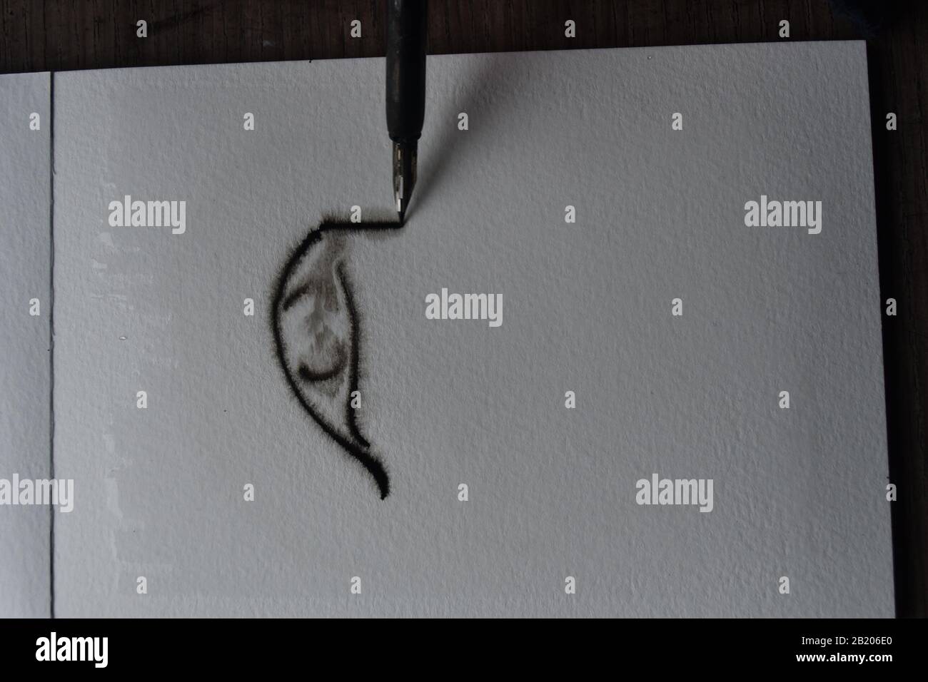 sequence of drawings, Dip pen with india ink on to wet watercolour