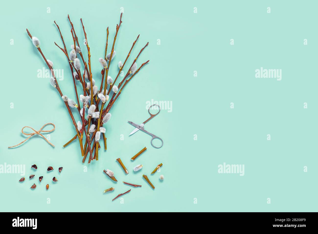 Branches with kidneys, scissors on a light background. Easter spring flat lay concept. Stock Photo