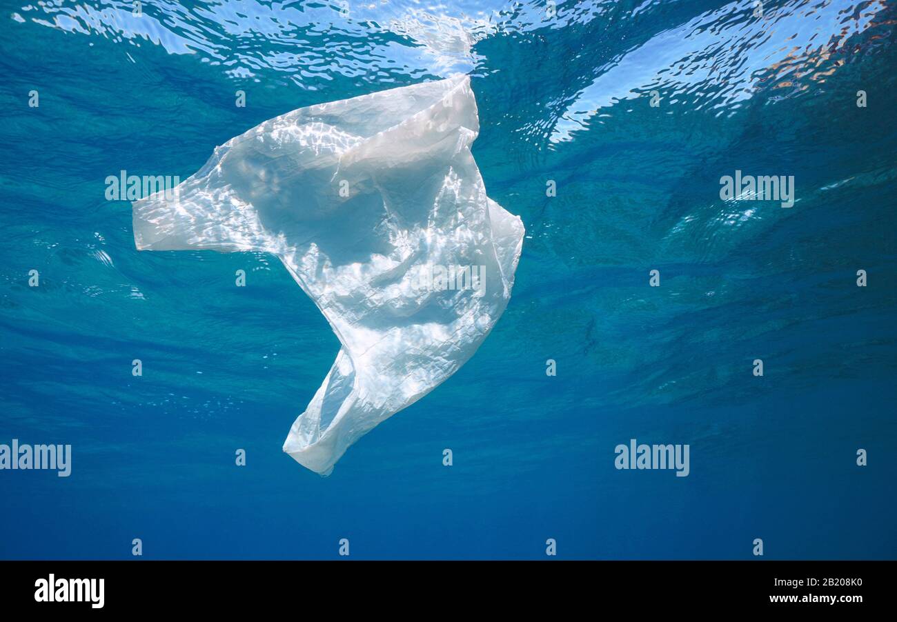 Plastic pollution in ocean, a white plastic bag drifts under water surface Stock Photo