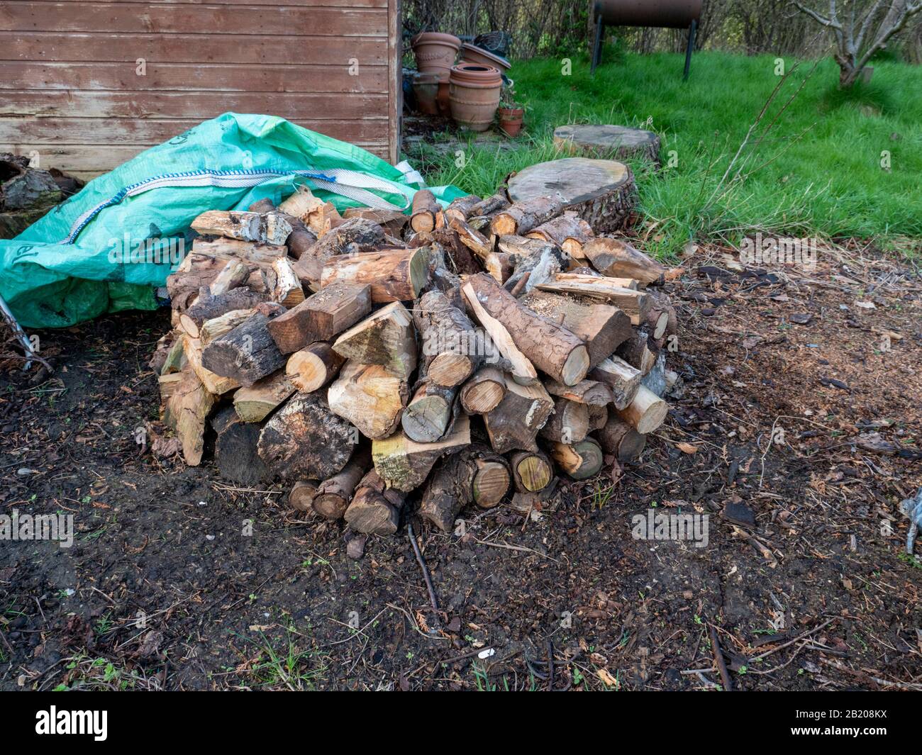A pile of chopped wood logs in a garden  ready for burning on an open fire in the UK Stock Photo