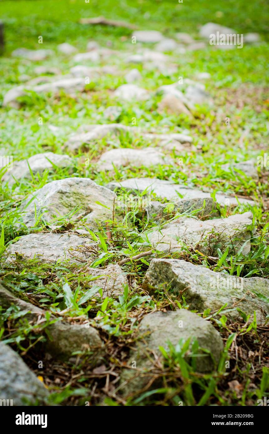 Stones and grass in the mountain. Stock Photo